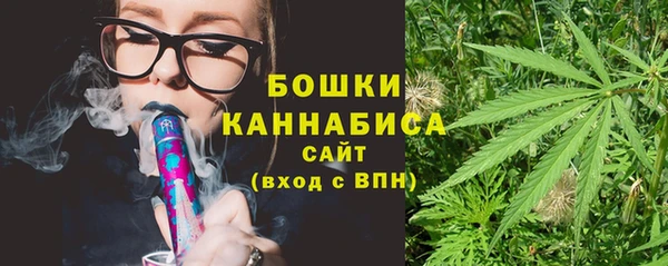 трава Аркадак