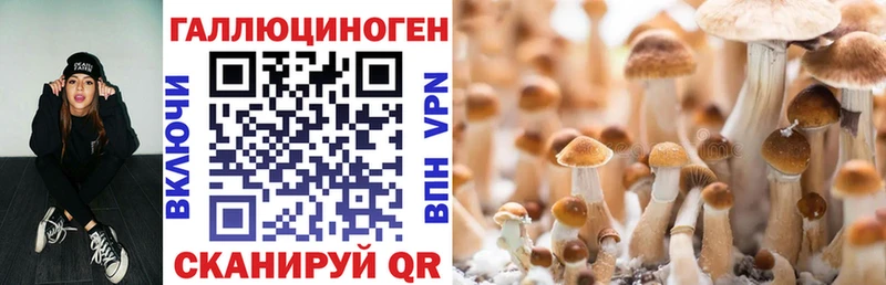 Галлюциногенные грибы мицелий  закладка  Мглин 